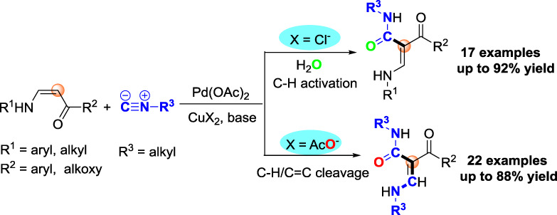 Palladium-Catalyzed Intermolecular Oxidative Coupling Reactions of (Z)-Enamines with Isocyanides through Selective β-C(sp2)-H and/or C=C Bond Cleavage