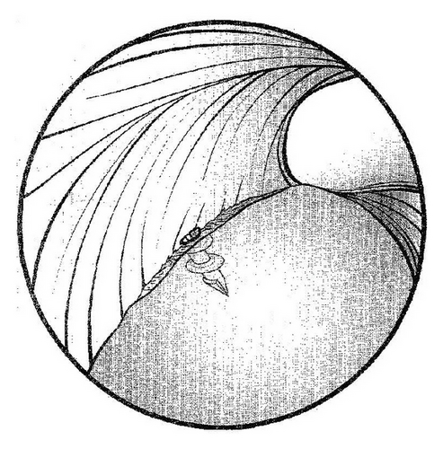 Details are in the caption following the image
