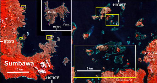 Details are in the caption following the image