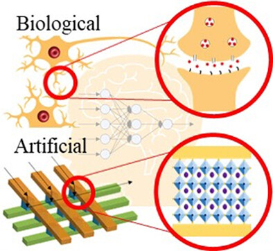 Halide perovskite for low-power consumption neuromorphic devices