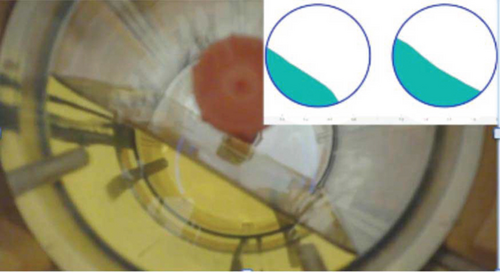 Details are in the caption following the image Details are in the caption following the image