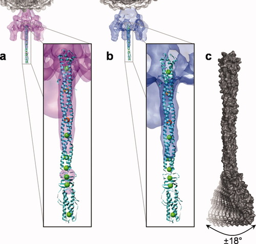 Details are in the caption following the image Details are in the caption following the image