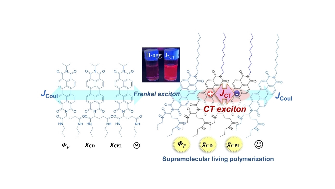 Living Hybrid Exciton Materials: Enhanced Fluorescence and Chiroptical Properties in Living Supramolecular Polymers with Strong Frenkel/Charge-Transfer Exciton Coupling