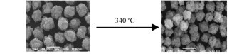 Synthesis and Characterization of Uniform Fine Particles of Nickel Compounds