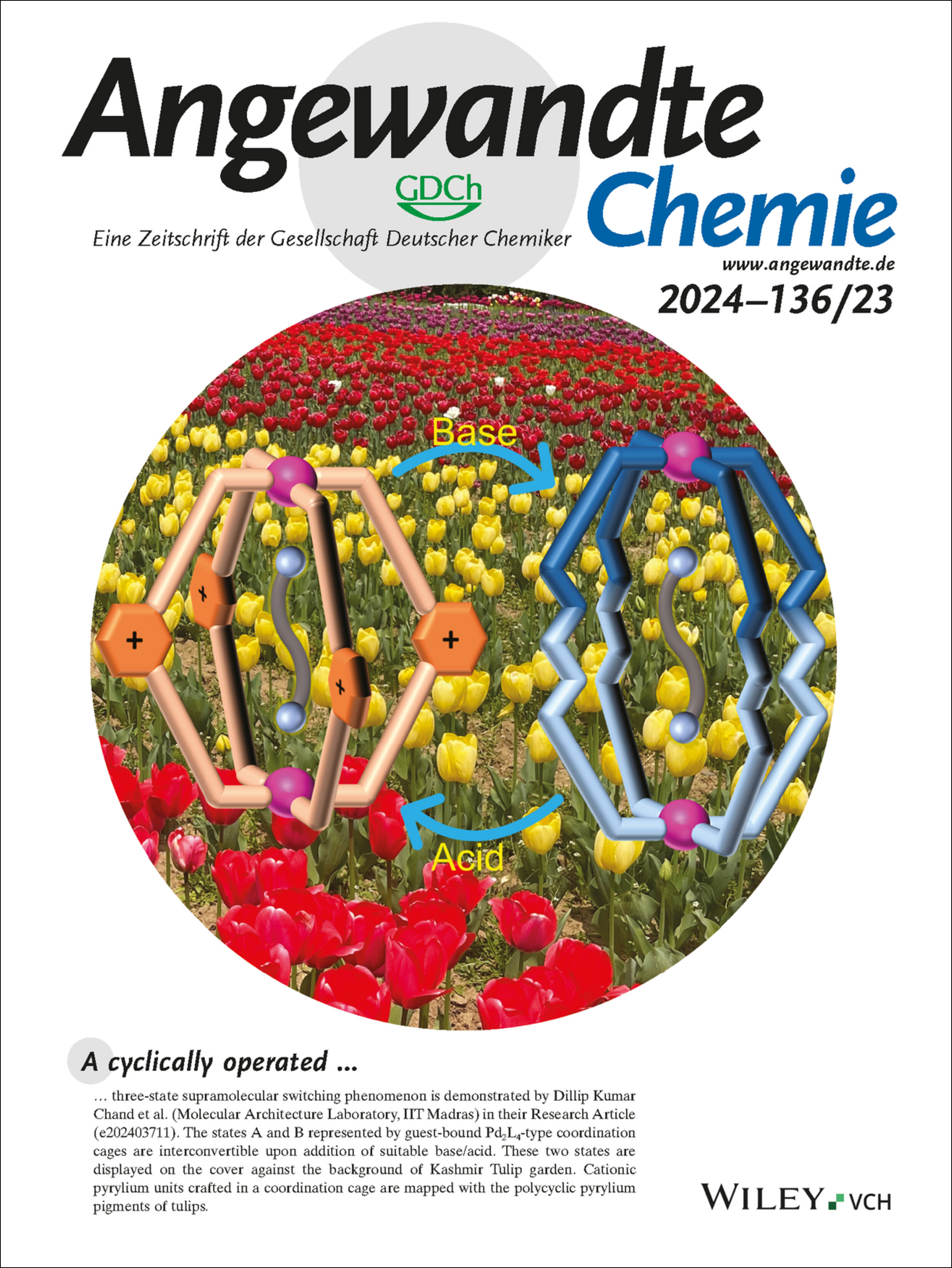 Innenrücktitelbild: Cage-To-Cage Transformations in Self-Assembled Coordination Cages Using “Acid/Base” or “Guest Binding-Induced Strain” as Stimuli (Angew. Chem. 23/2024) Volume 136 Issue 23, 2024