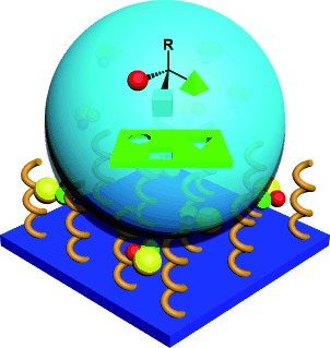 Chirality-Driven Wettability Switching and Mass Transfer