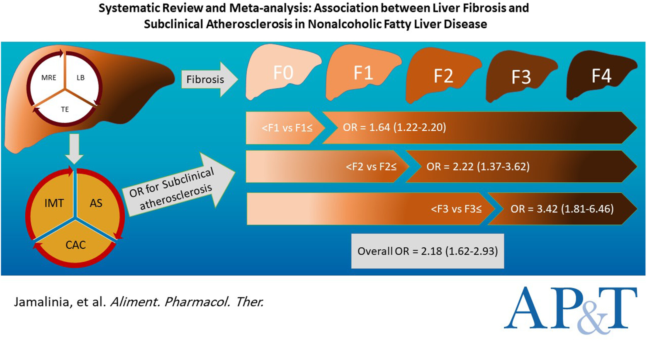 Systematic review and meta-analysis: Association between liver fibrosis and subclinical atherosclerosis in nonalcoholic fatty liver disease