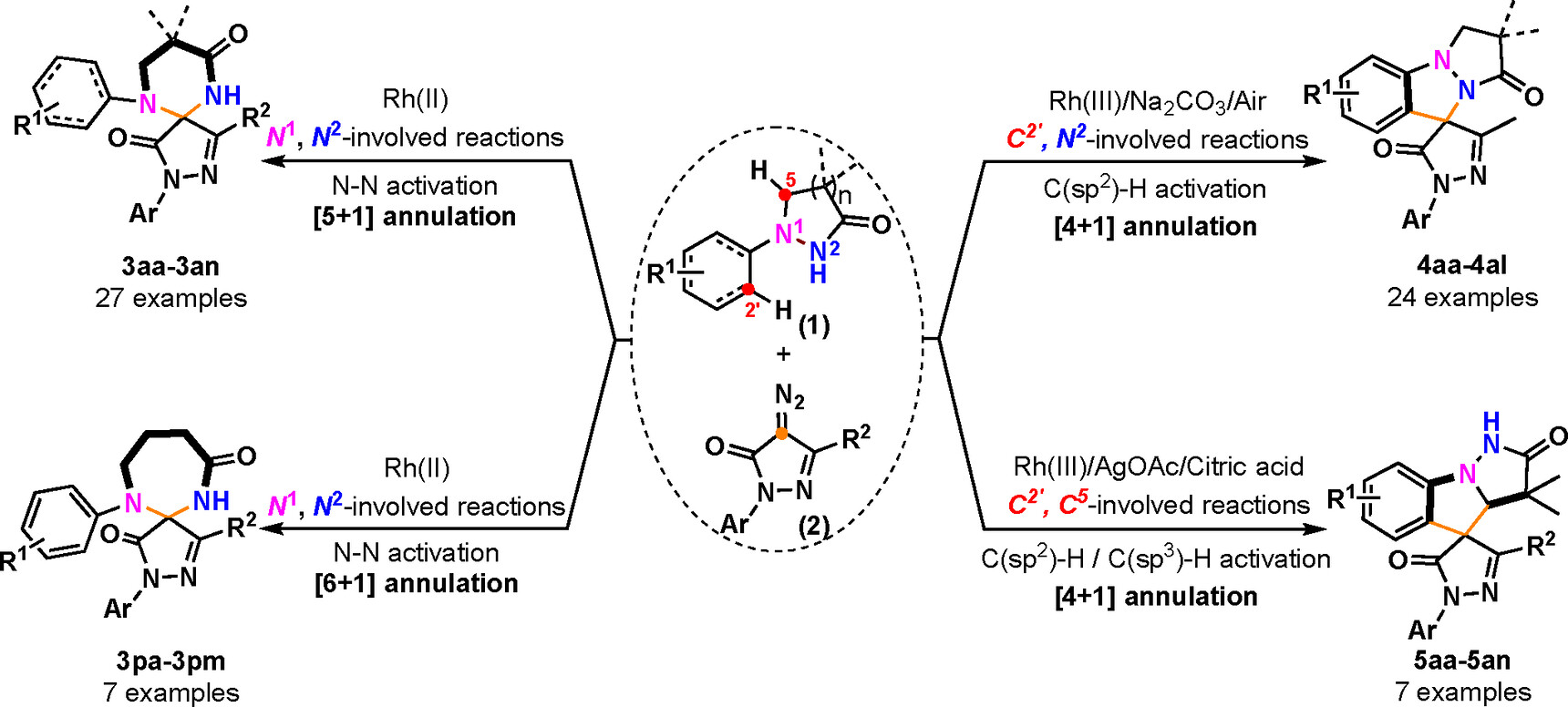 Catalytic System-Controlled Divergent Reaction Strategies for the Construction of Diversified Spiropyrazolone Skeletons from Pyrazolidinones and Diazopyrazolones