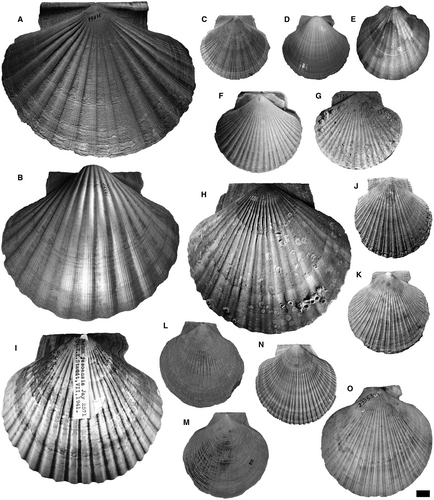 Details are in the caption following the image