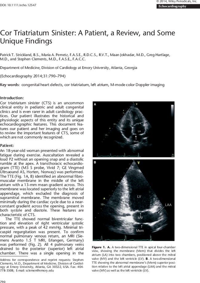 First page image
