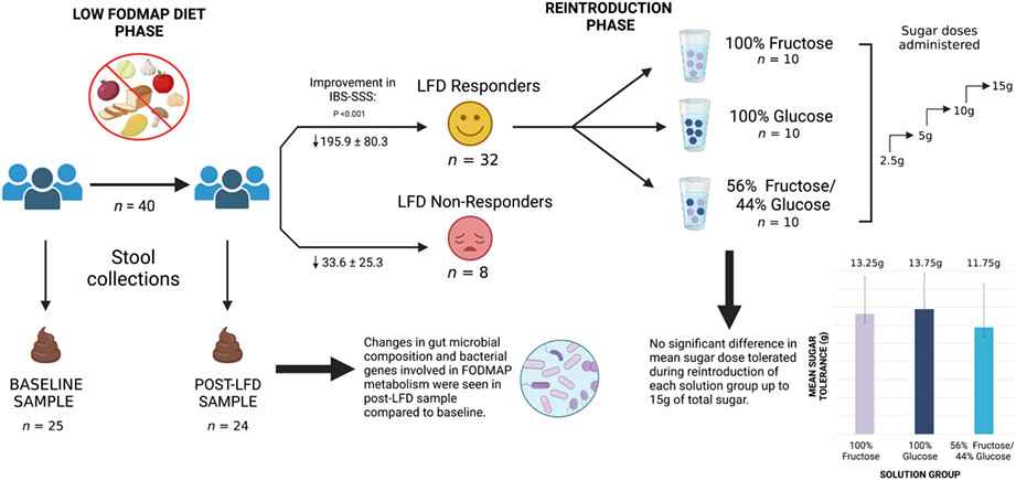 Randomized controlled pilot study assessing fructose tolerance during fructose reintroduction in non-constipated irritable bowel syndrome patients successfully treated with a low FODMAP diet