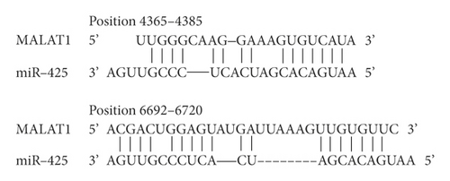 Details are in the caption following the image