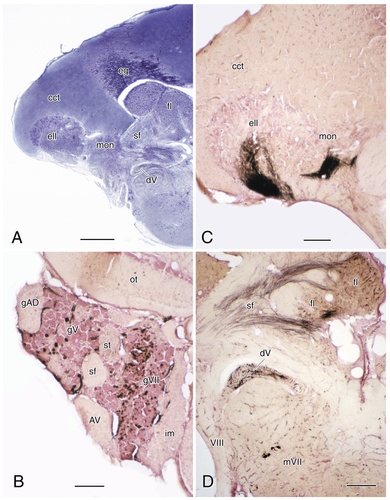 Details are in the caption following the image