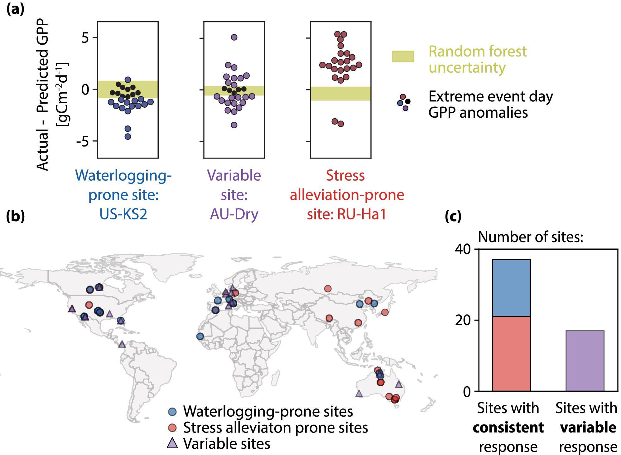 Susceptibility to Photosynthesis Suppression From Extreme Storms Is Highly Site-Dependent