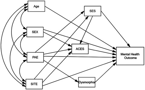 Prenatal alcohol exposure and mental health at midlife: A preliminary report on two longitudinal cohorts