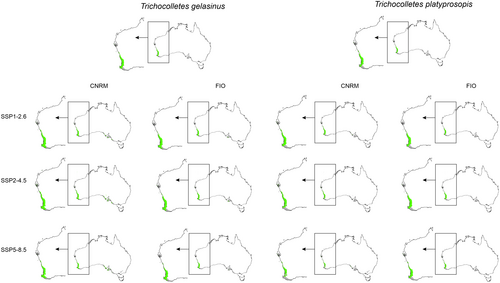 Details are in the caption following the image Details are in the caption following the image