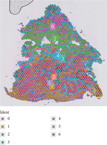 Details are in the caption following the image