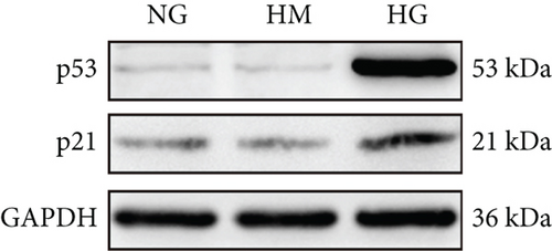 Details are in the caption following the image