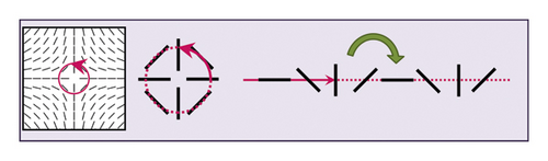 Details are in the caption following the image