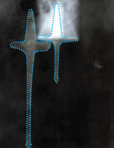 Details are in the caption following the image Details are in the caption following the image