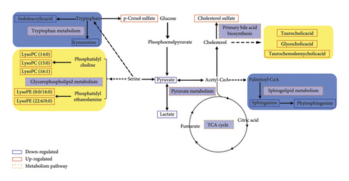 Details are in the caption following the image Details are in the caption following the image
