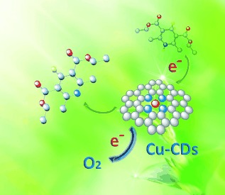 Cu–N Dopants Boost Electron Transfer and Photooxidation Reactions of Carbon Dots