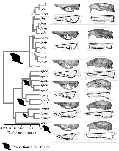 Details are in the caption following the image Details are in the caption following the image