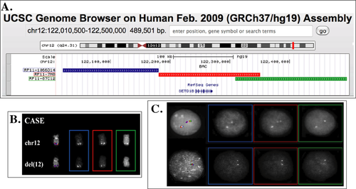 Details are in the caption following the image Details are in the caption following the image
