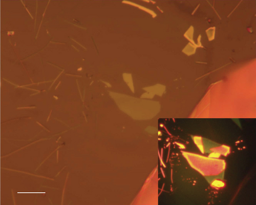 Details are in the caption following the image