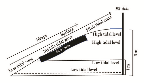 Details are in the caption following the image Details are in the caption following the image