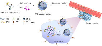 Design, fabrication and evaluation of redox/pH dual-responsive micelles for tumor targeting delivery and controlled release of paclitaxel