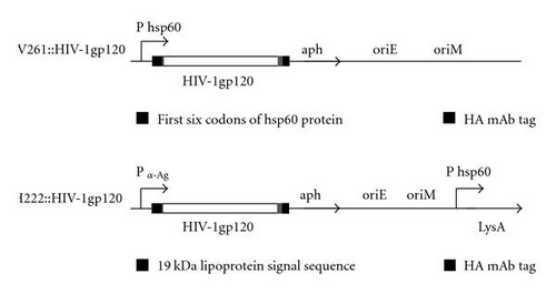Details are in the caption following the image