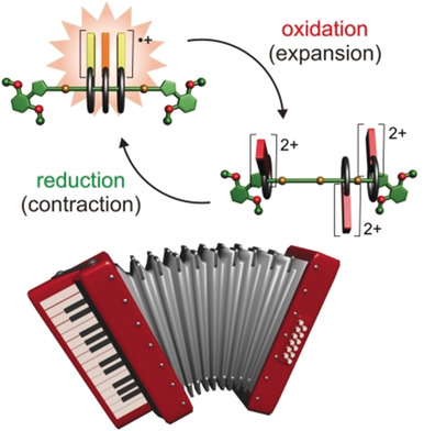 Accordion-Like Motion in Electrochemically Switchable Crown Ether/Ammonium Oligorotaxanes