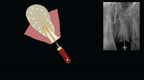 Details are in the caption following the image Details are in the caption following the image