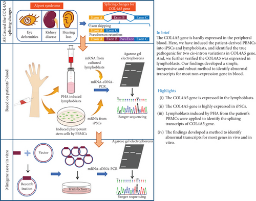 Details are in the caption following the image Details are in the caption following the image