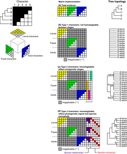 Details are in the caption following the image Details are in the caption following the image
