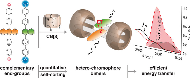 Quantitative Supramolecular Heterodimerization for Efficient Energy Transfer
