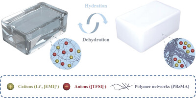 Unusual switching of ionic conductivity in ionogels enabled by water-induced phase separation