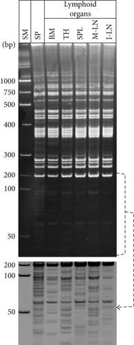 Details are in the caption following the image