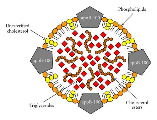 Details are in the caption following the image Details are in the caption following the image