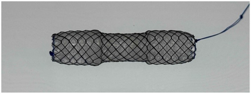 Details are in the caption following the image Details are in the caption following the image