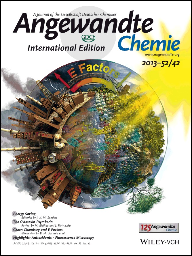 Cover Picture: On the Way Towards Greener Transition-Metal-Catalyzed Processes as Quantified by E Factors (Angew. Chem. Int. Ed. 42/2013)
