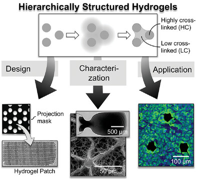 Hierarchically Structured and Tunable Hydrogel Patches: Design, Characterization, and Application