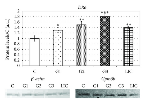 Details are in the caption following the image Details are in the caption following the image