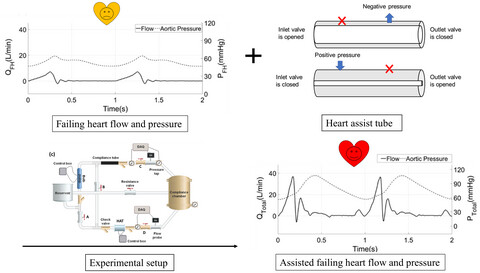 Flow assessment as a function of pump timing of tubular pulsatile pump for use as a ventricular assist device in a left heart simulator