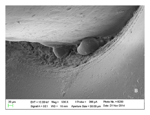 Details are in the caption following the image