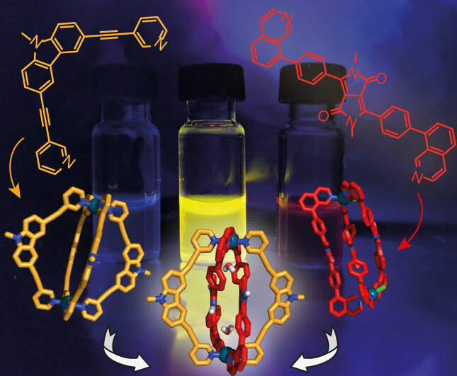Pd(II)-vermittelte Assemblierung einer Reihe von löslichen Diketopyrrolopyrrol-Chromophor-Stapeln**