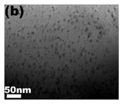 Details are in the caption following the image