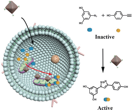 A Biocompatible Heterogeneous MOF–Cu Catalyst for In Vivo Drug Synthesis in Targeted Subcellular Organelles
