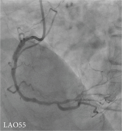 Details are in the caption following the image